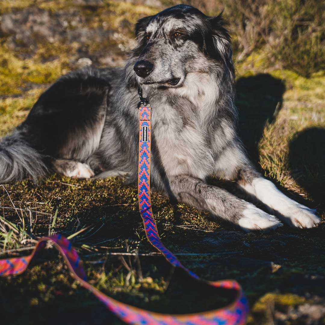 Sandstone Ultralight Leash - Image 4