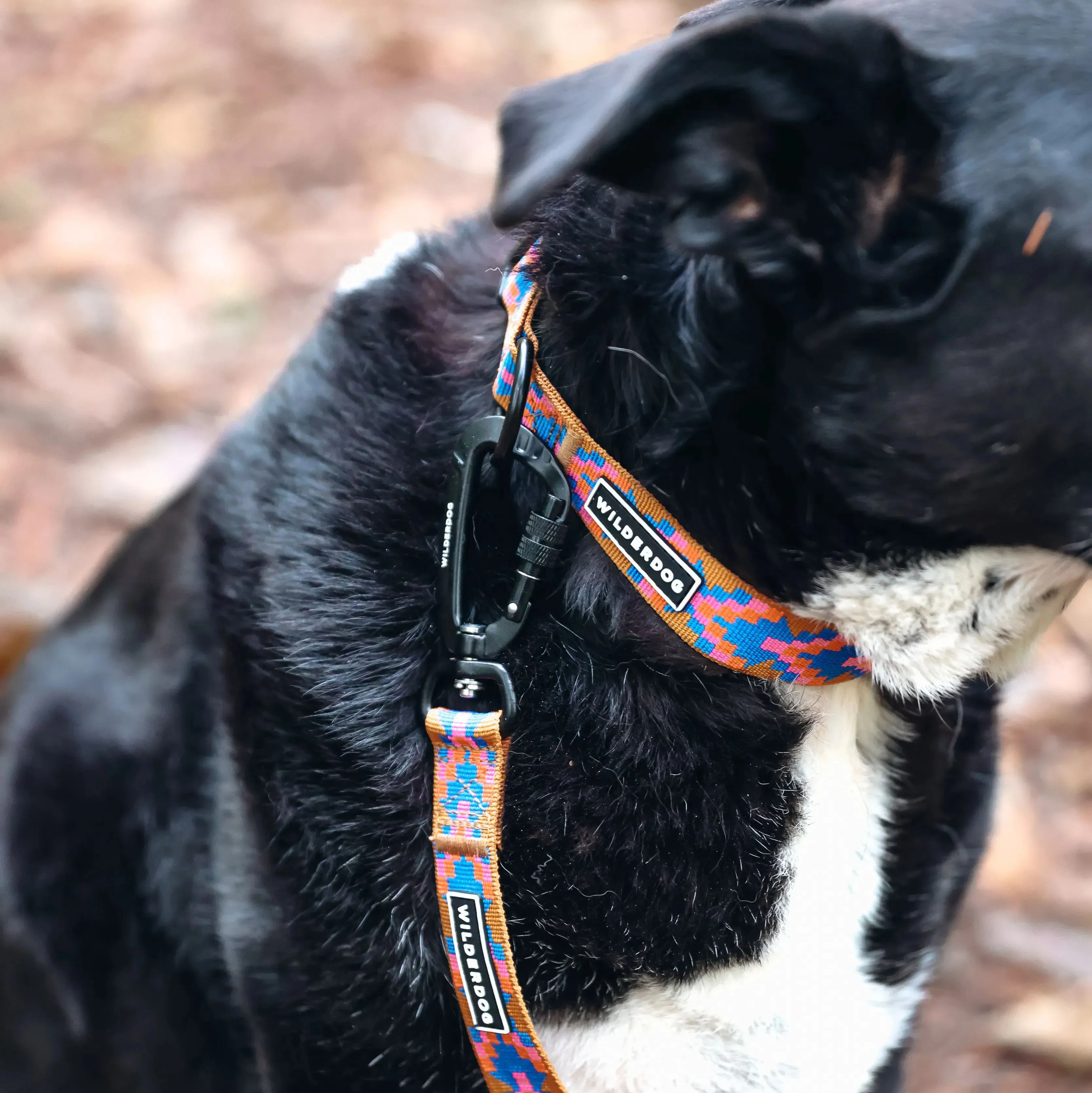 Sandstone Ultralight Leash - Image 5