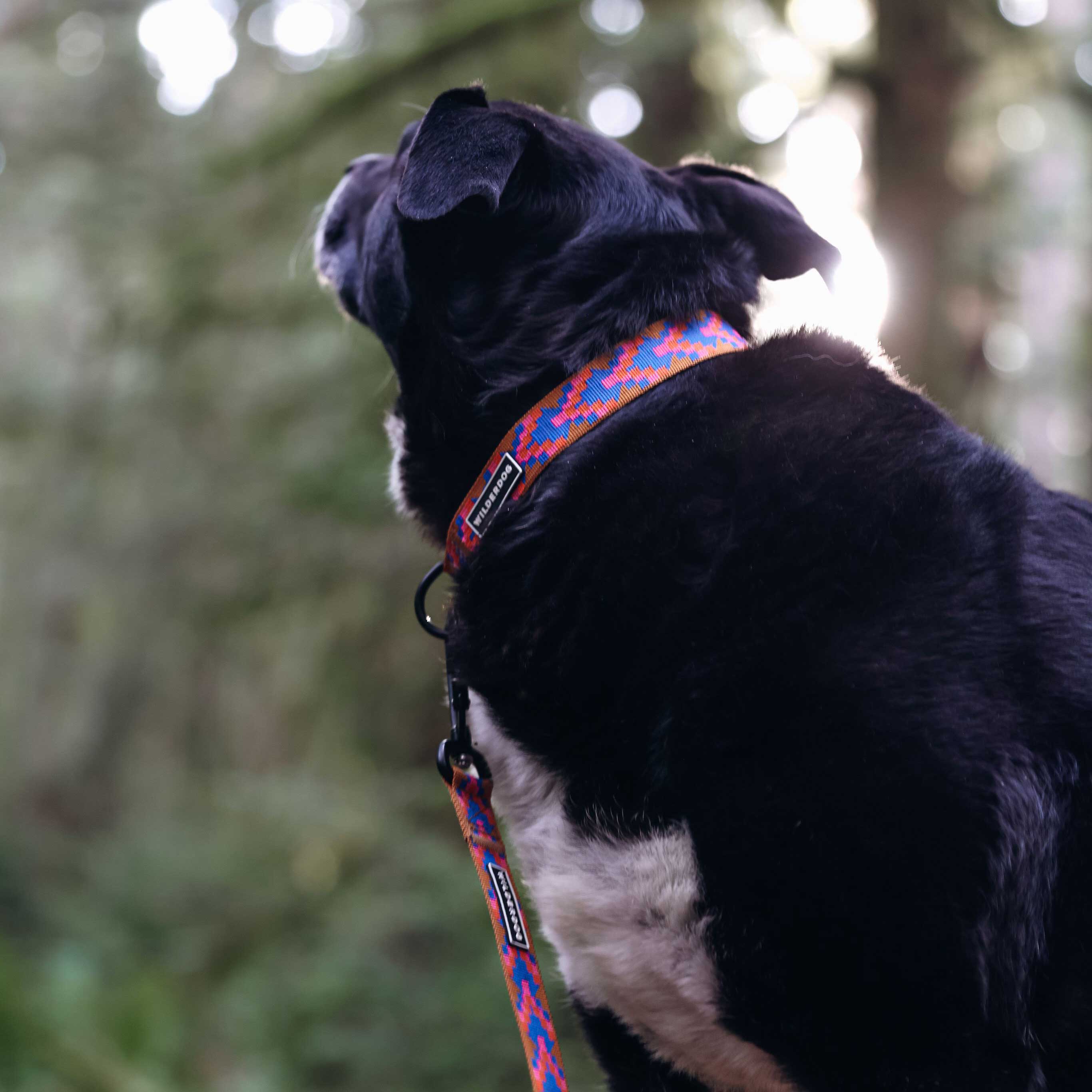 Sandstone Ultralight Leash - Image 6