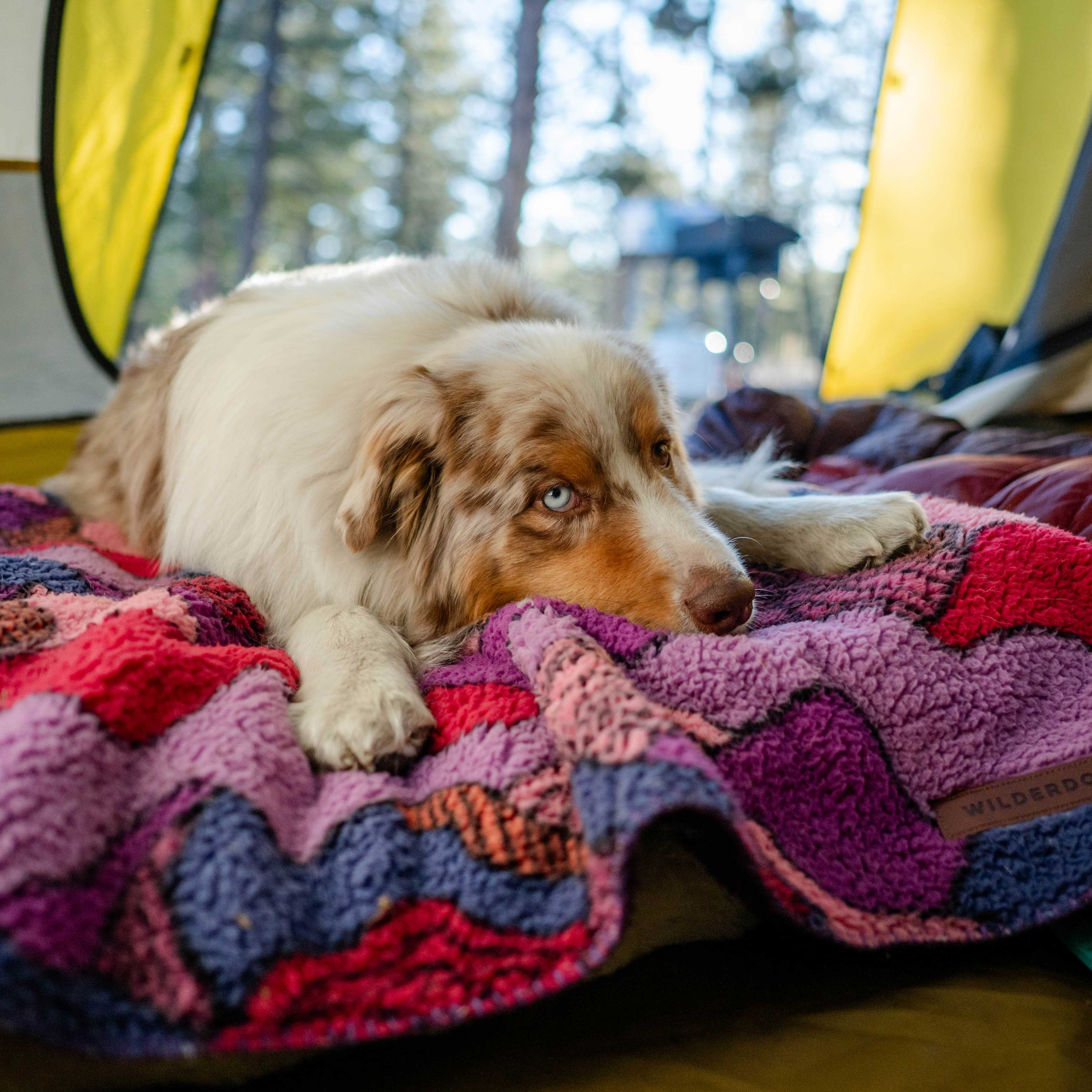 Sherpa Fleece Waterproof Blanket - Image 16
