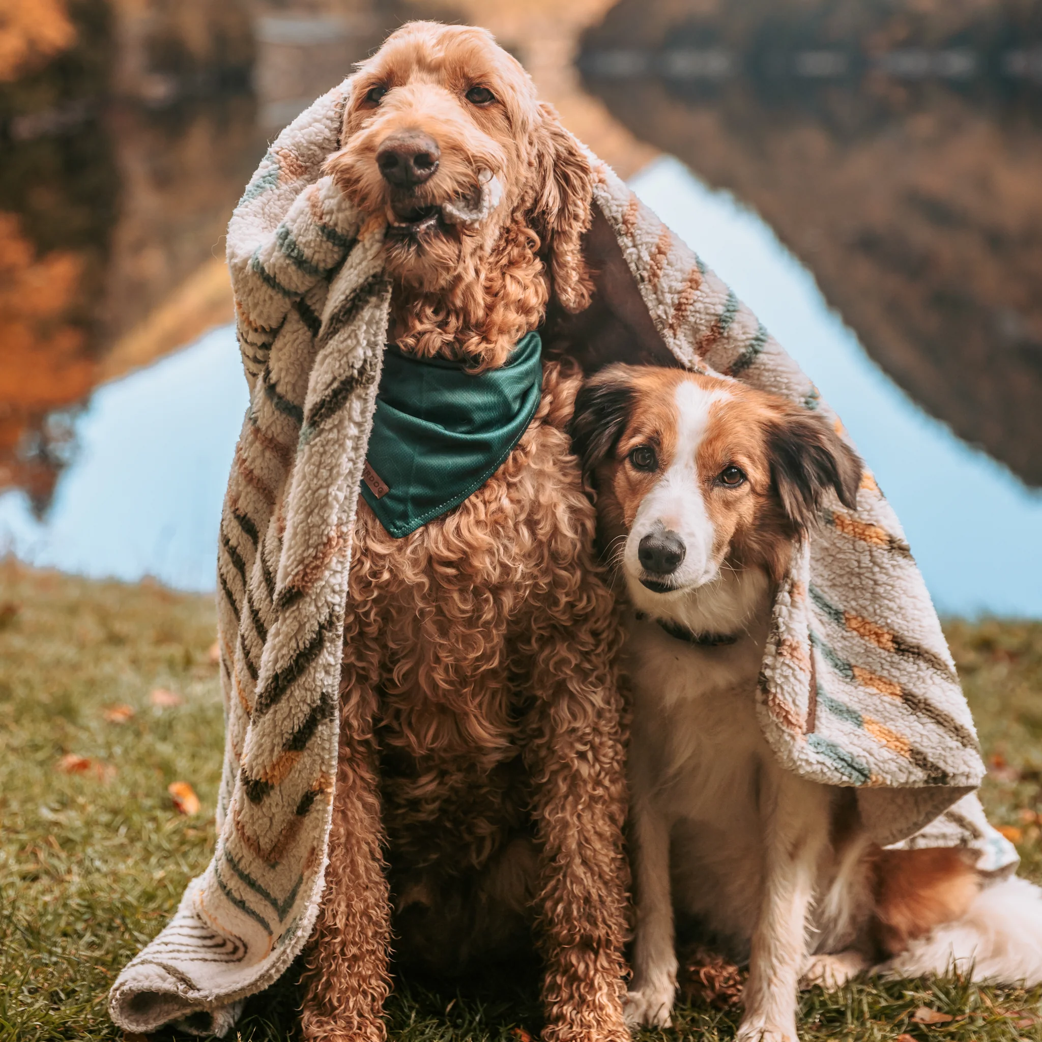 Sherpa Fleece Waterproof Blanket - Image 17