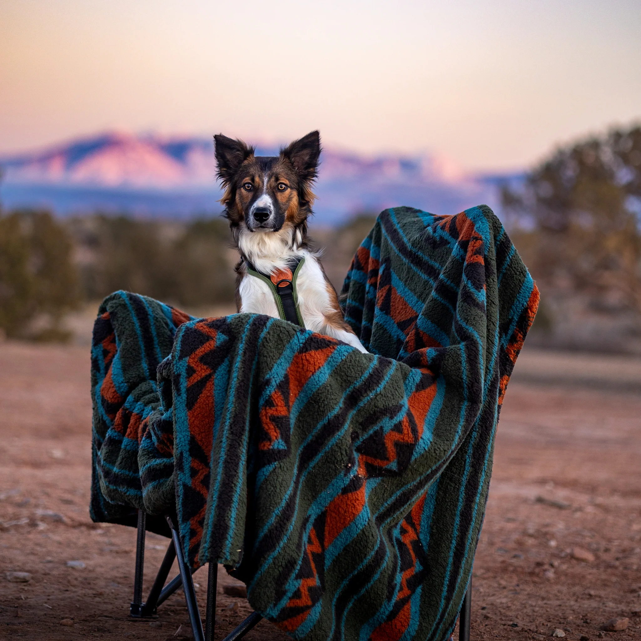Sherpa Fleece Waterproof Blanket - Image 8