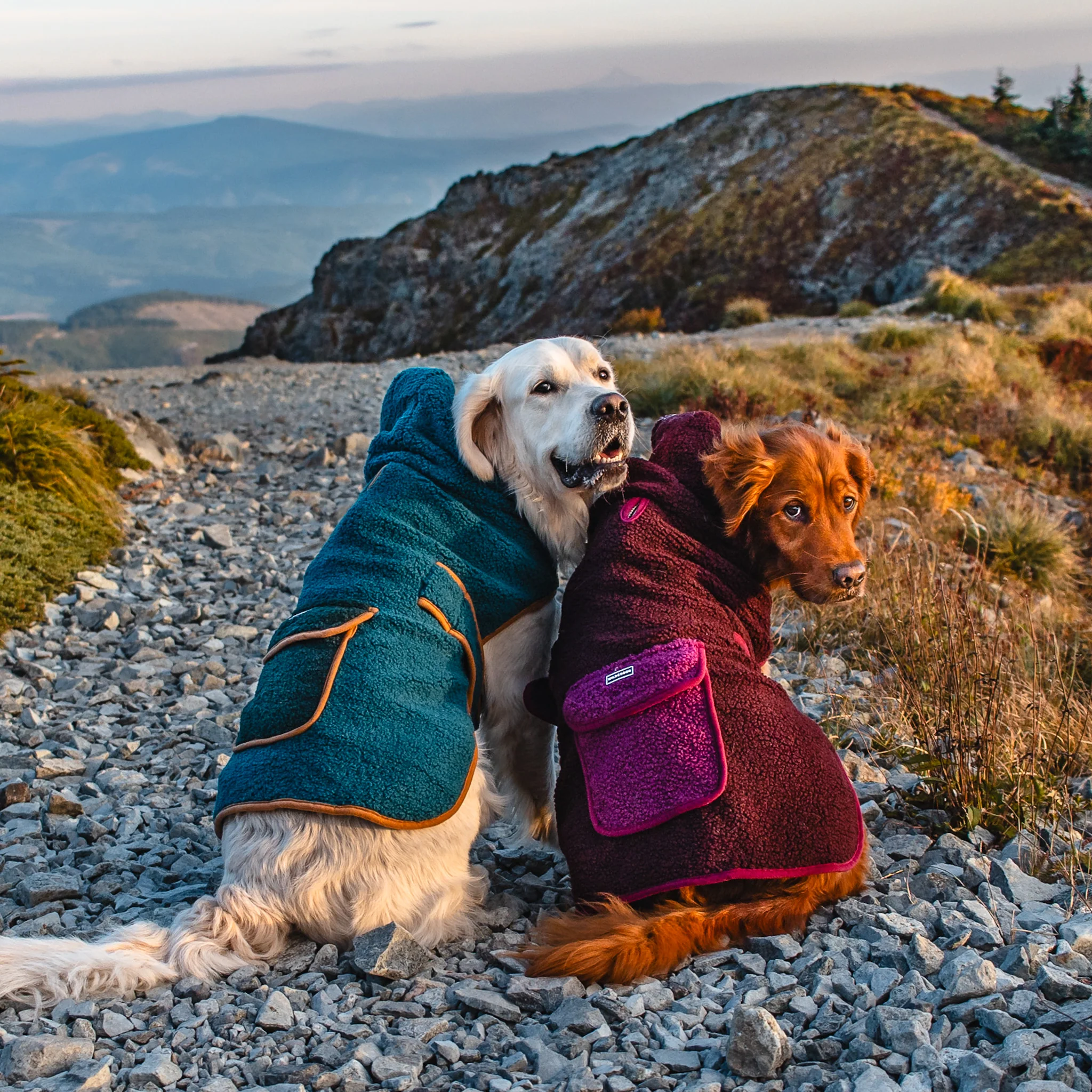 Sherpa Jacket - Image 3