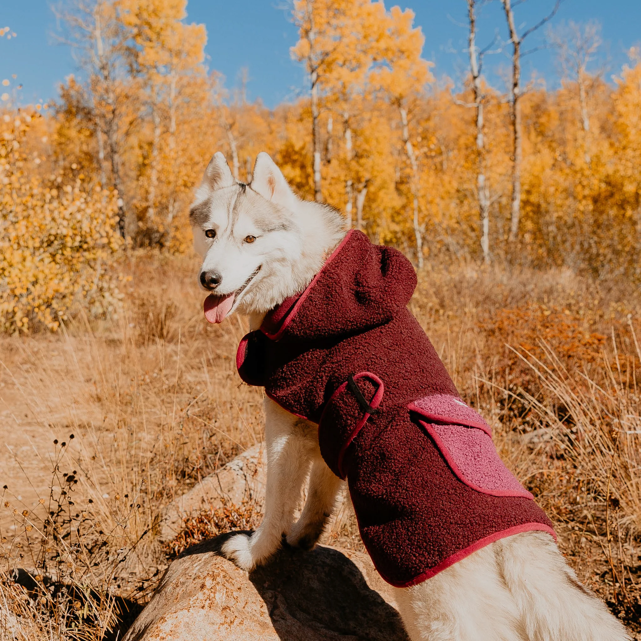 Sherpa Jacket - Image 5