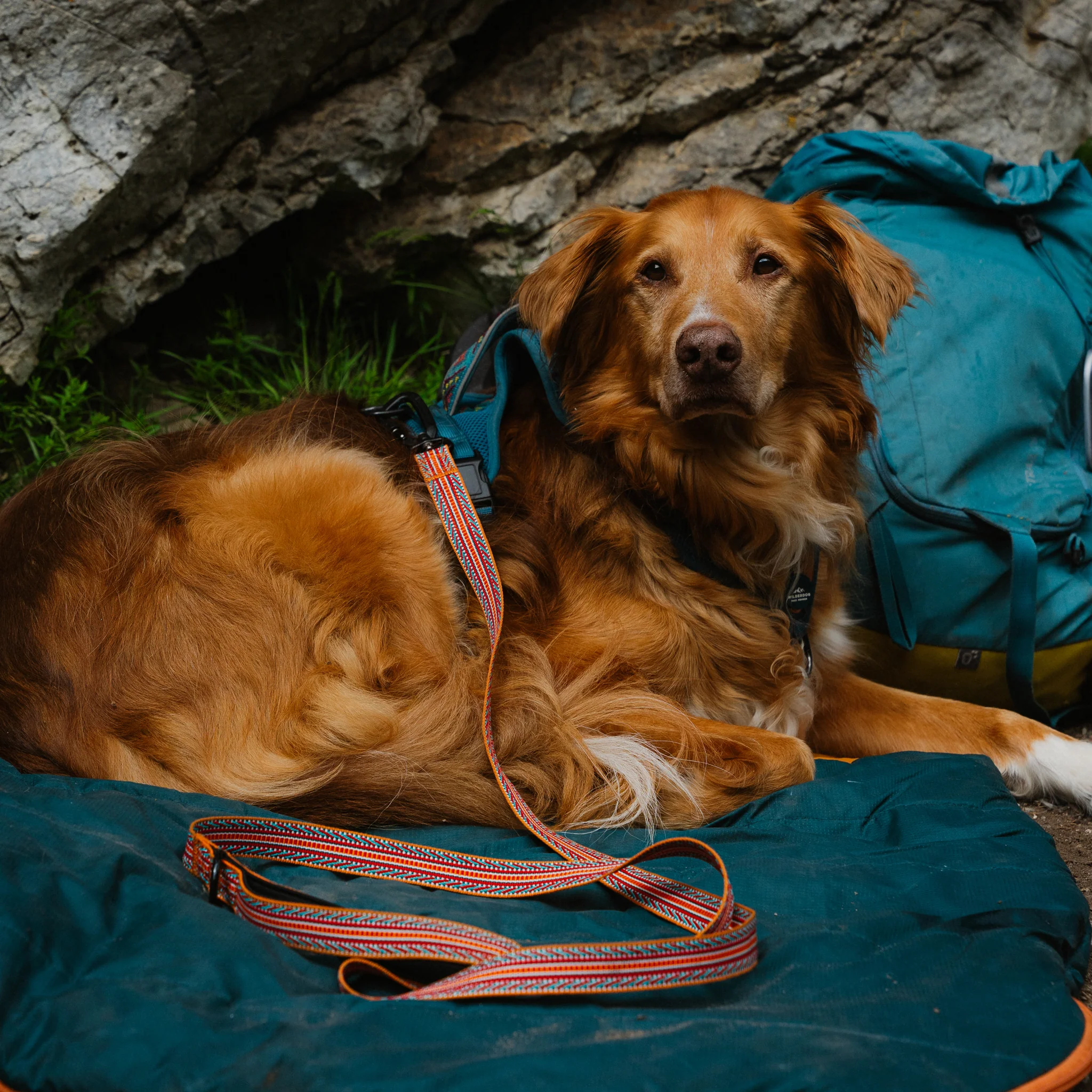 Sienna Ultralight Leash - Image 3
