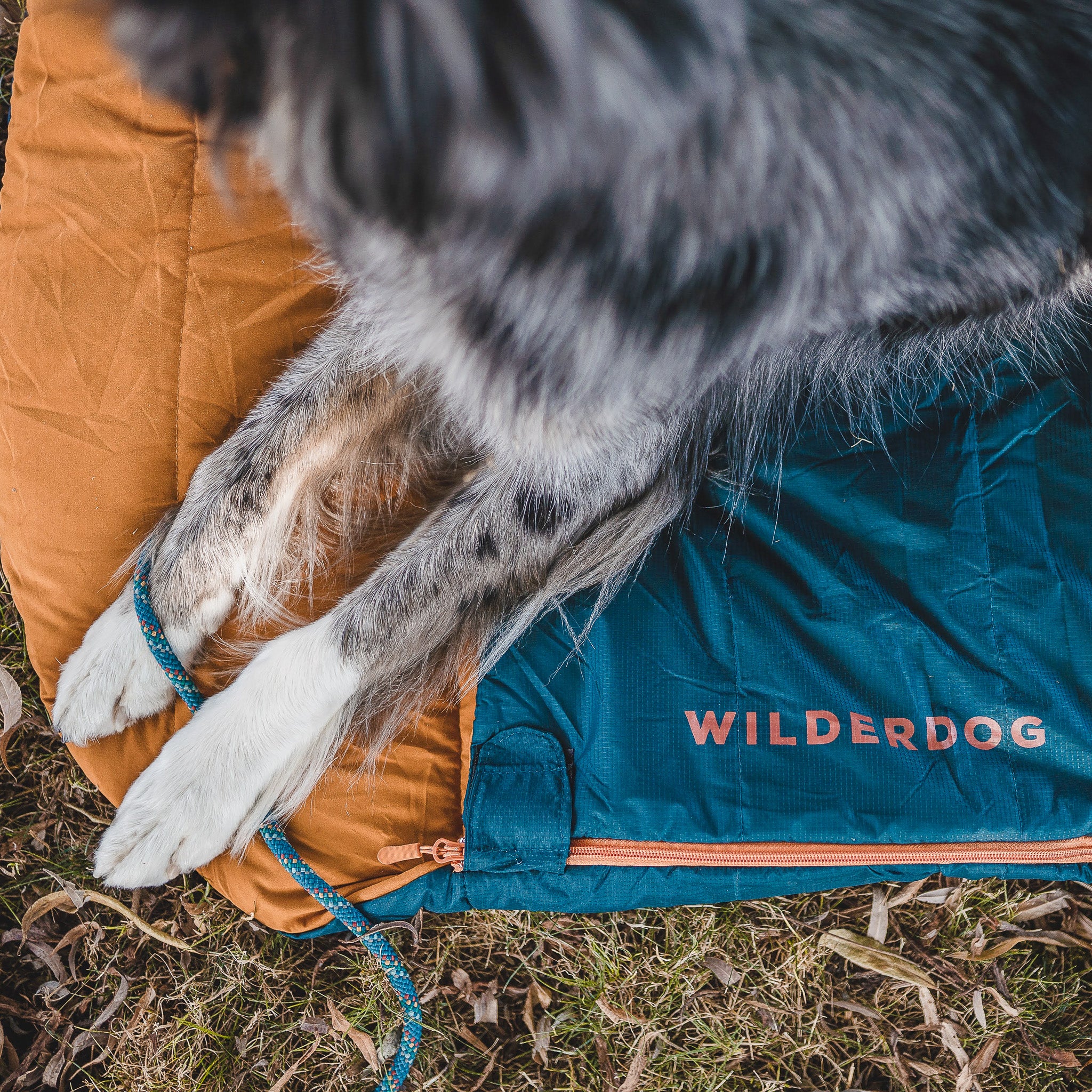Sleeping Bag - Image 7