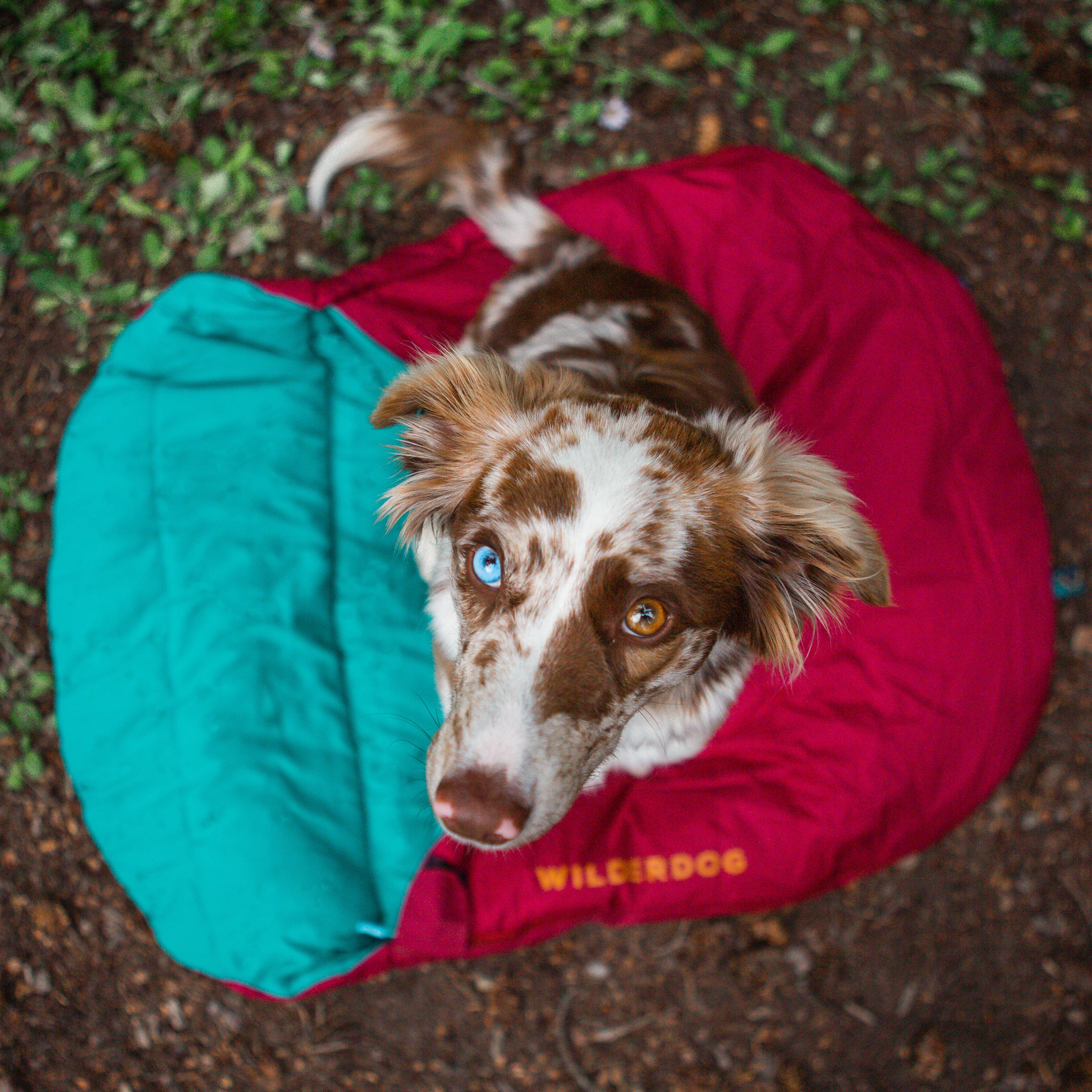 Sleeping Bag - Image 8