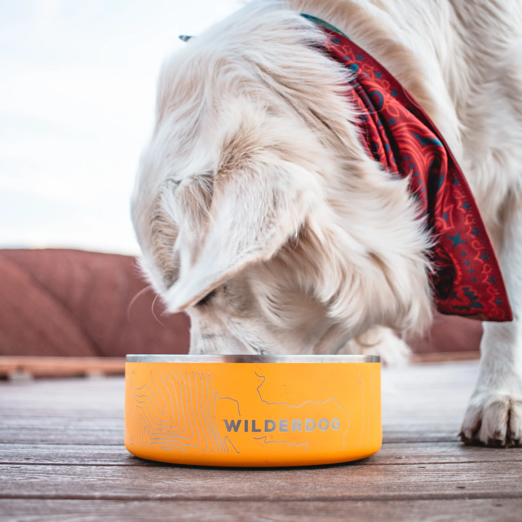 Stainless Steel Dog Bowl - Image 3