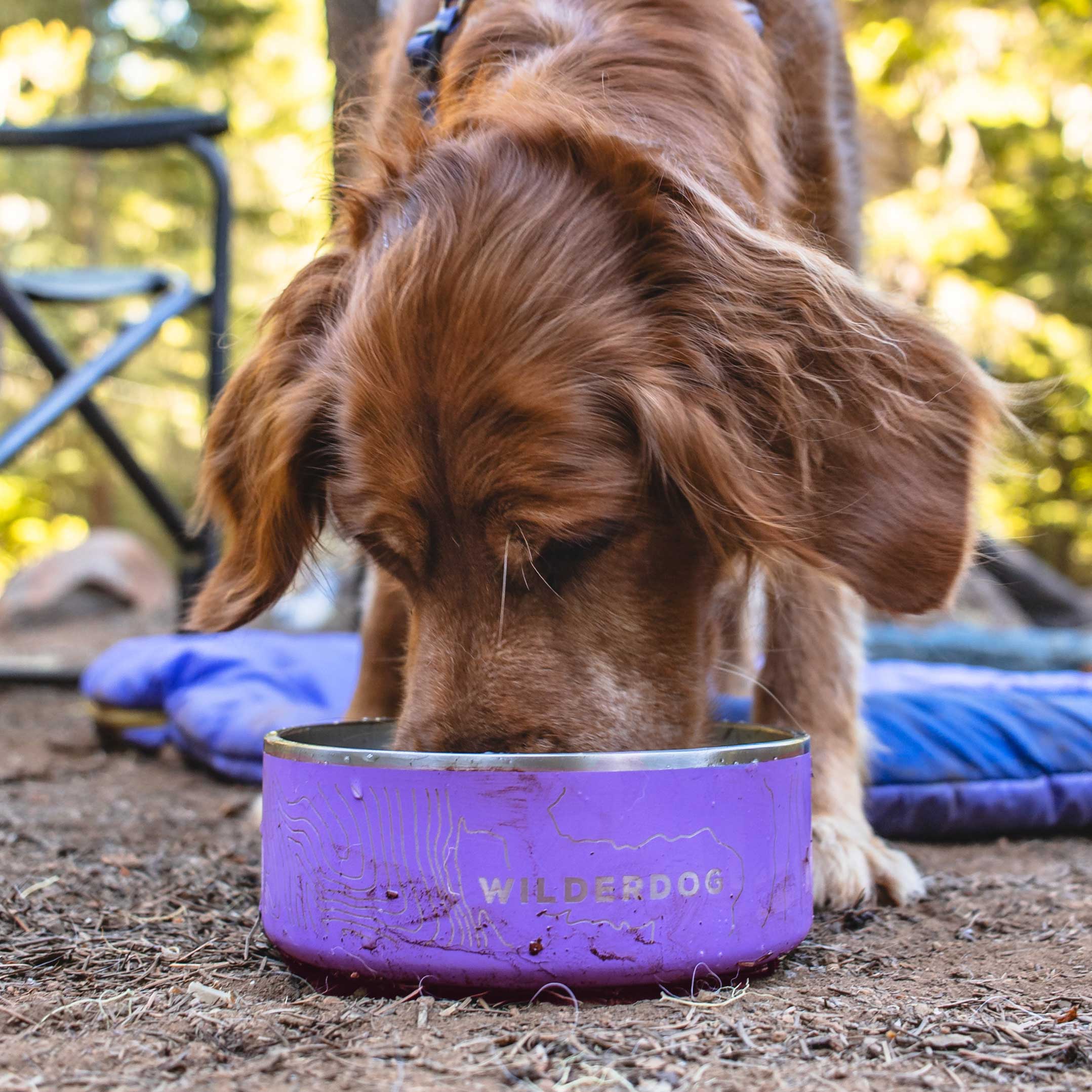 Stainless Steel Dog Bowl - Image 5