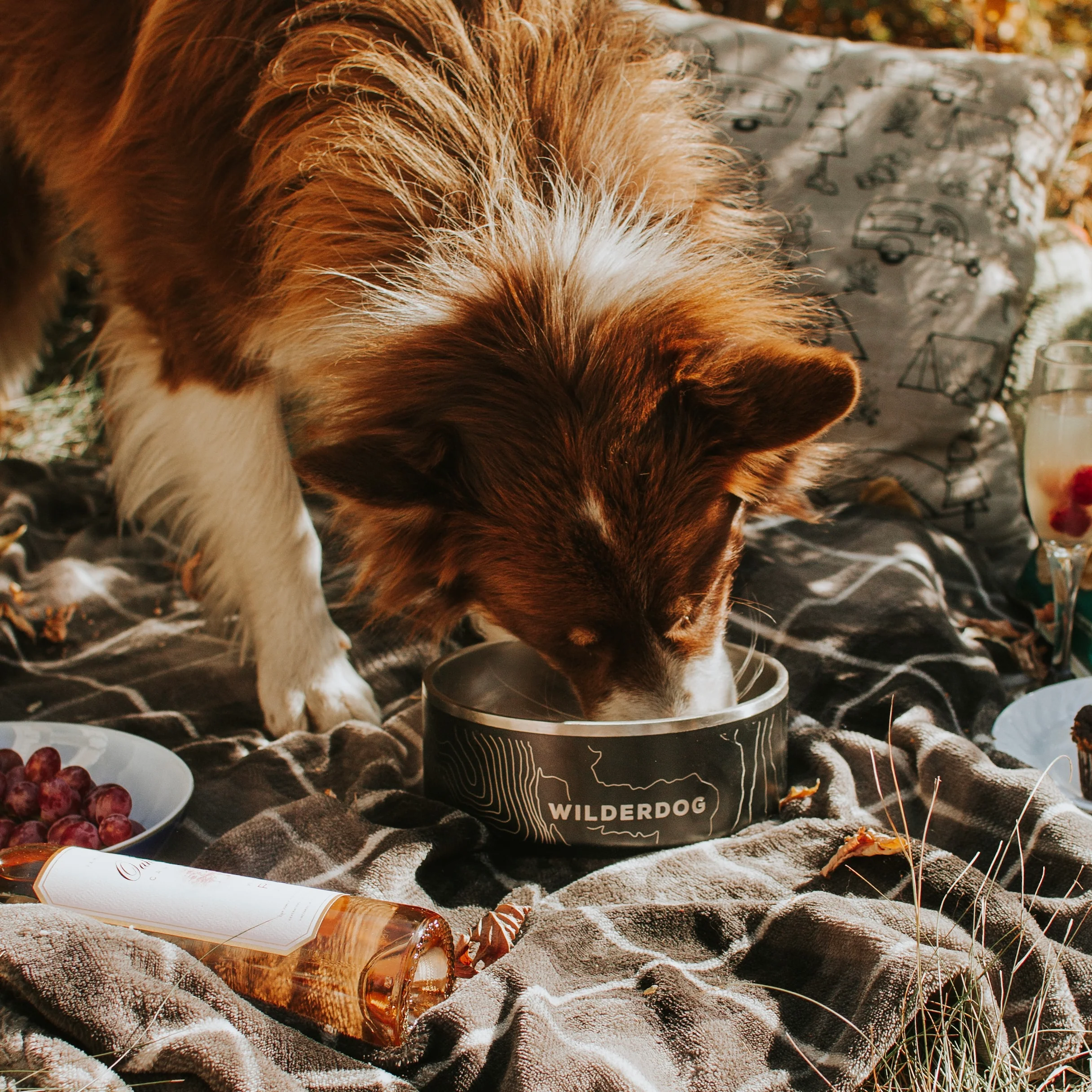 Stainless Steel Dog Bowl - Image 6