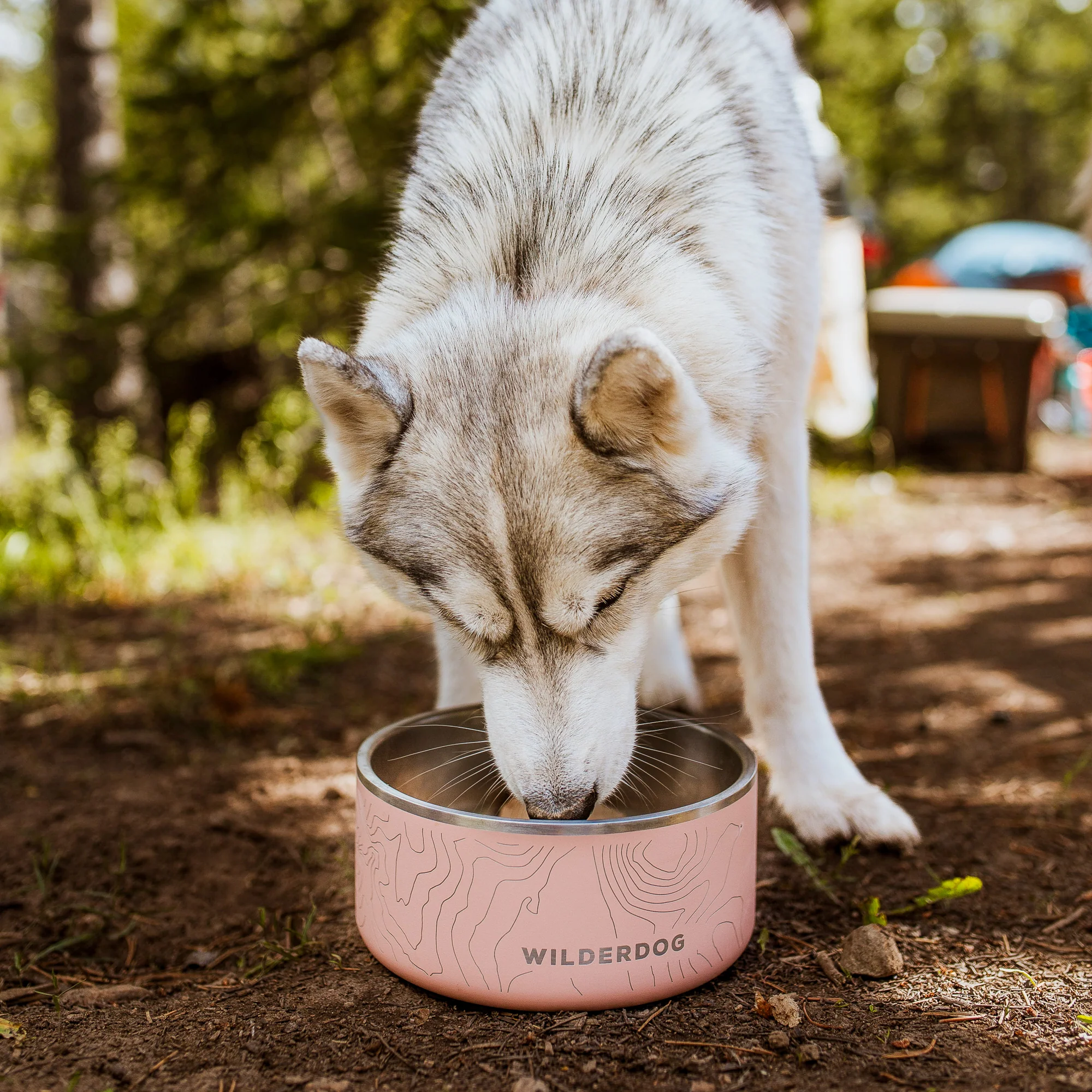 Stainless Steel Dog Bowl - Image 9