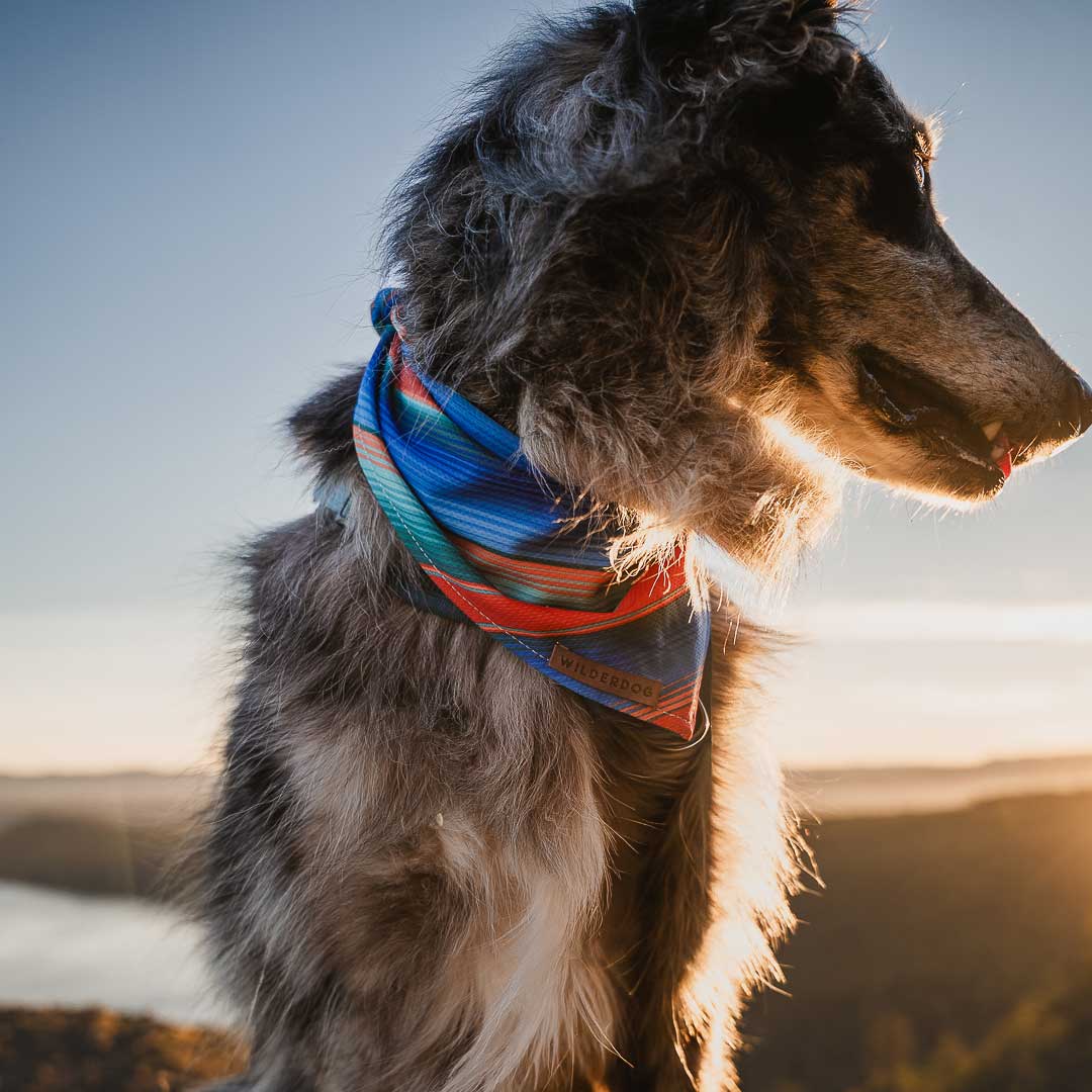 Vaquero Bandana - Image 3