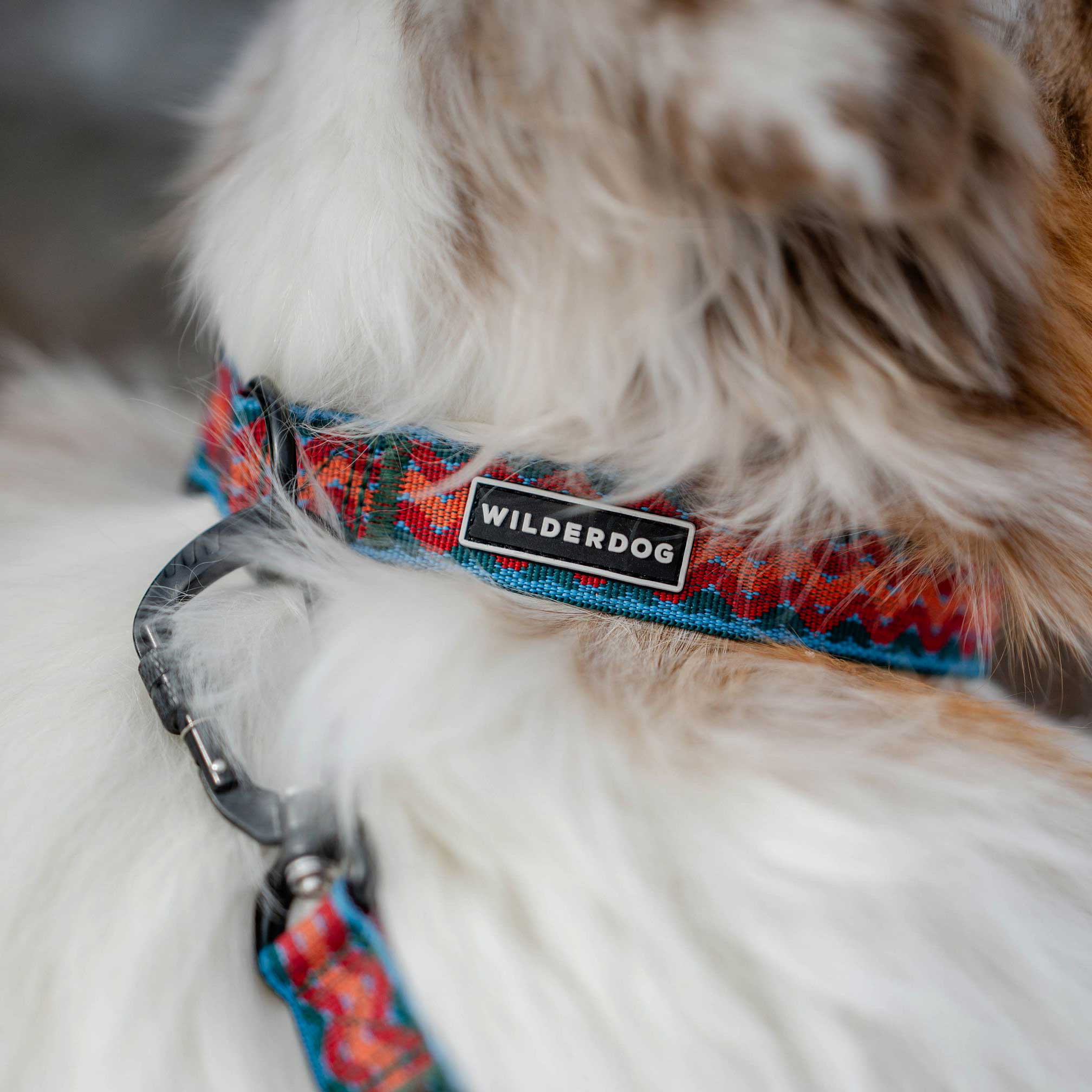 Sumac Ultralight Collar - Image 2