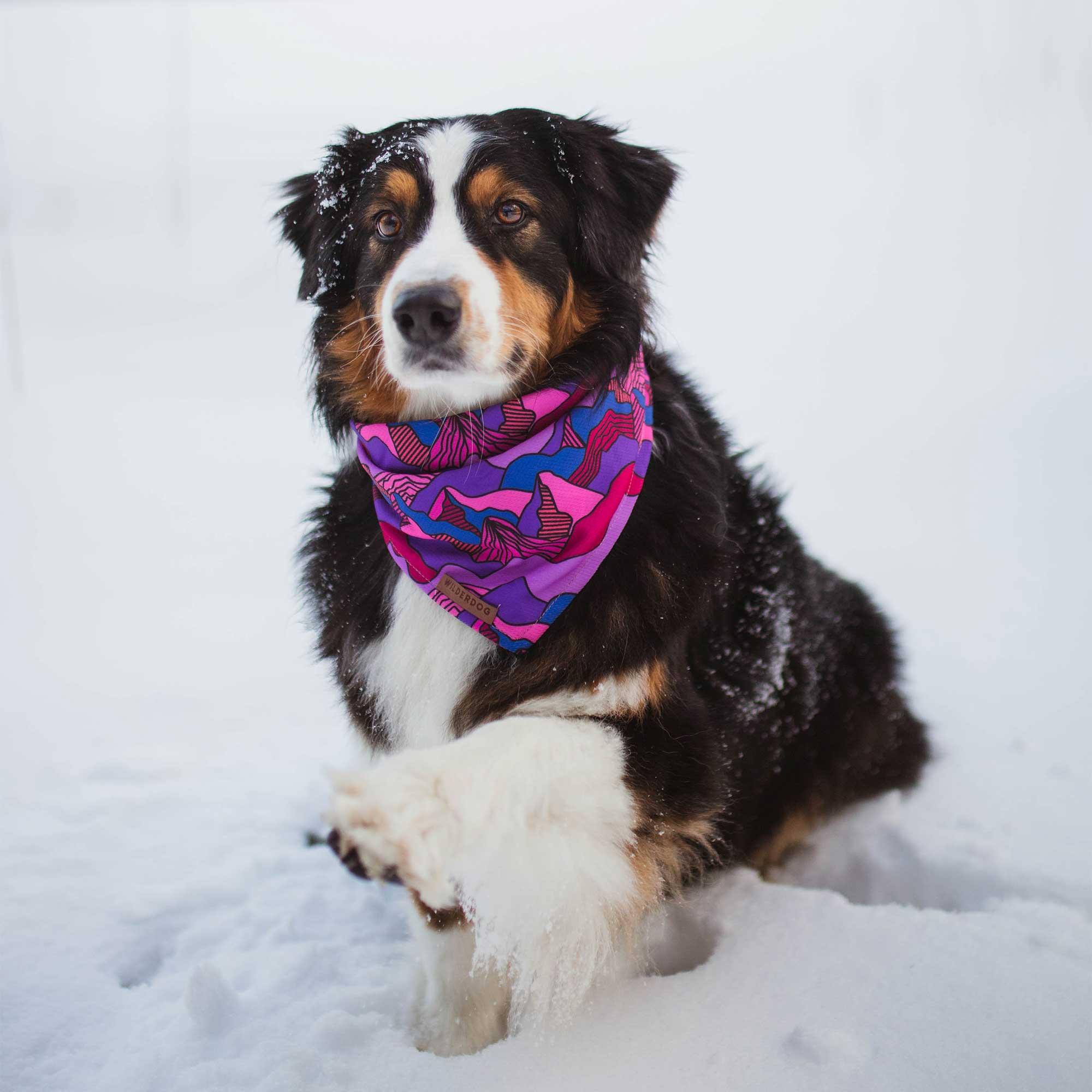 Summit Bandana - Image 2