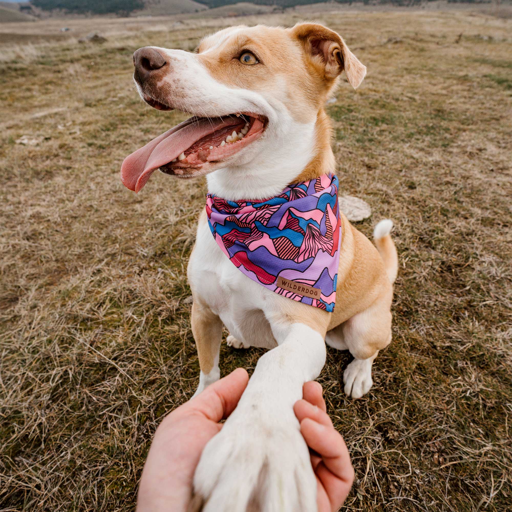Summit Bandana - Image 4
