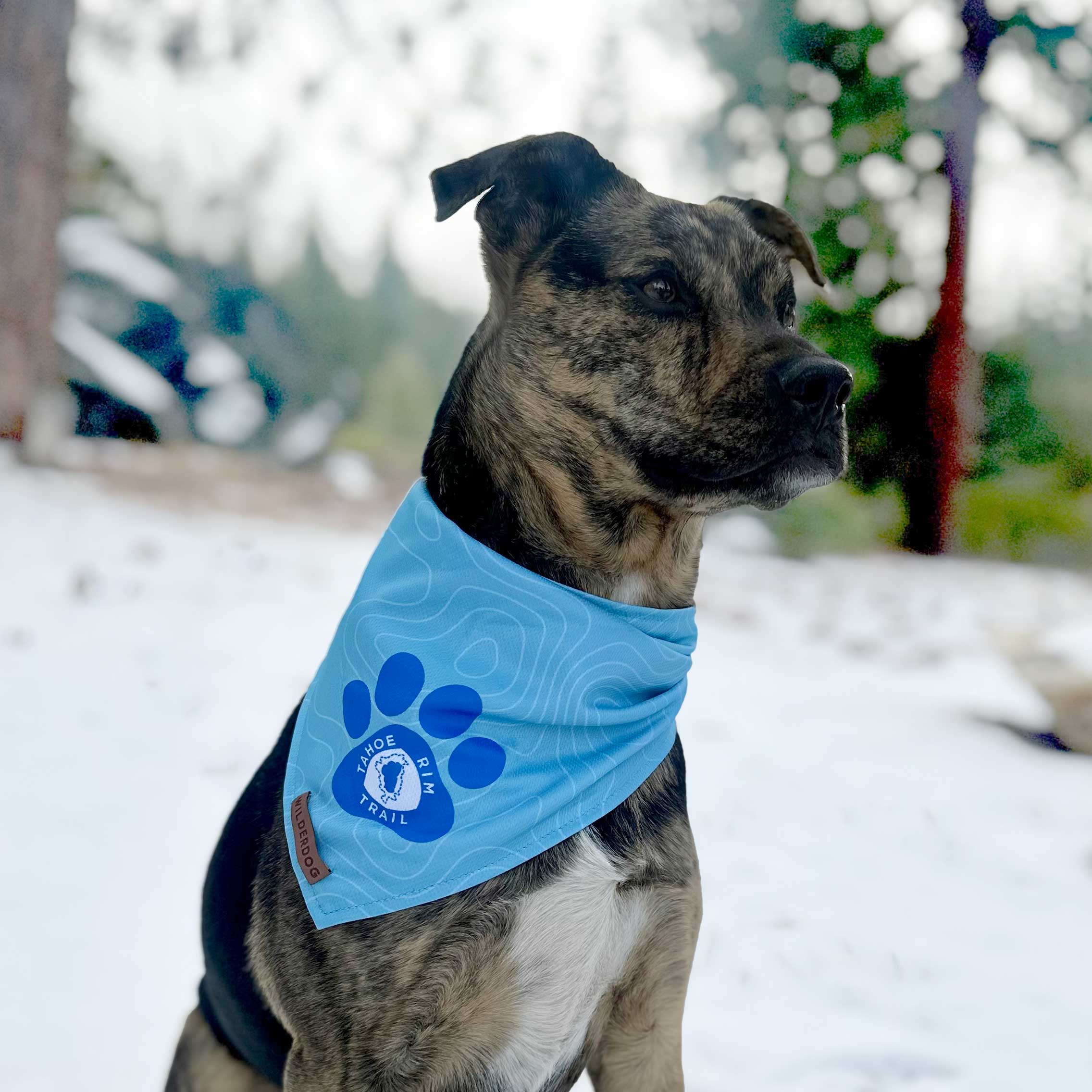 Tahoe Rim Trail Association Bandana - Image 2