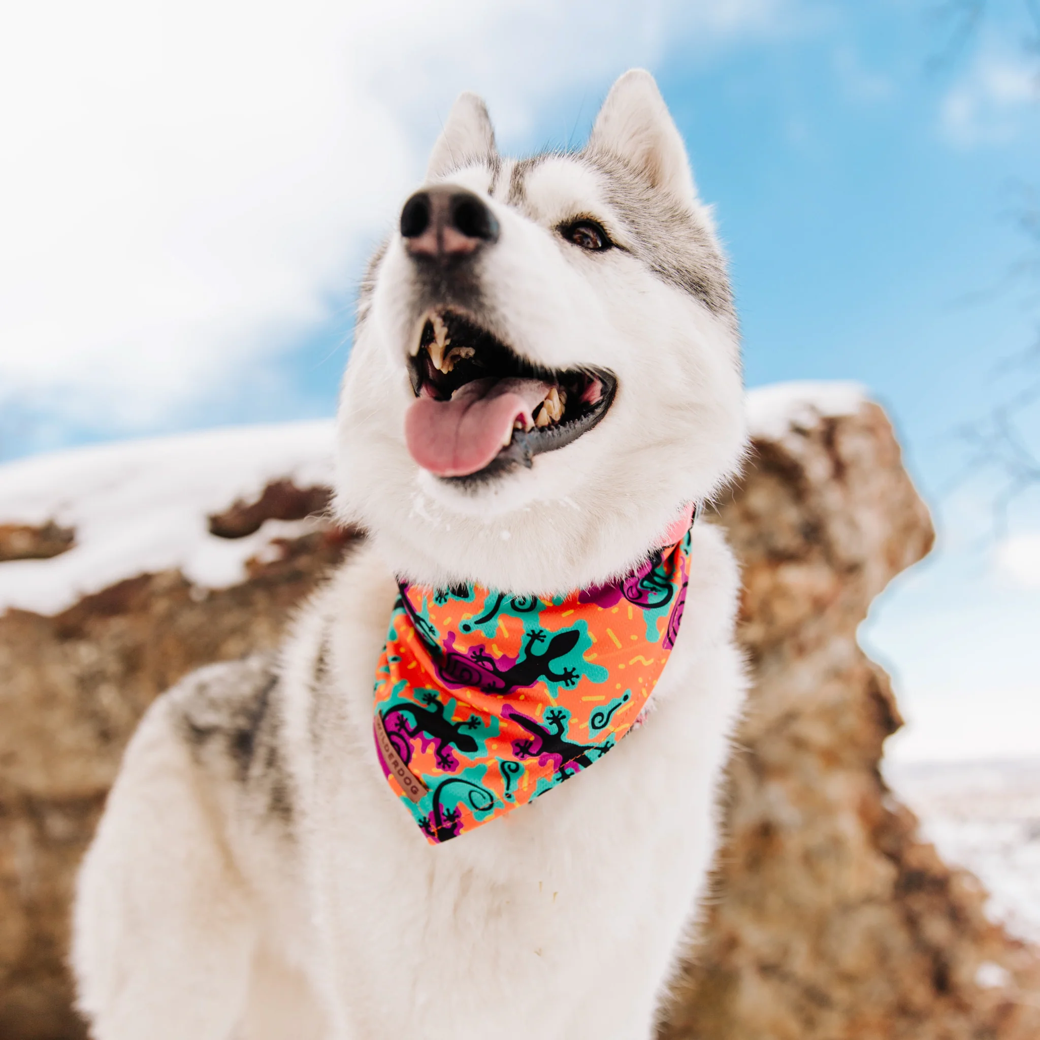 The Lizards Bandana - Image 3