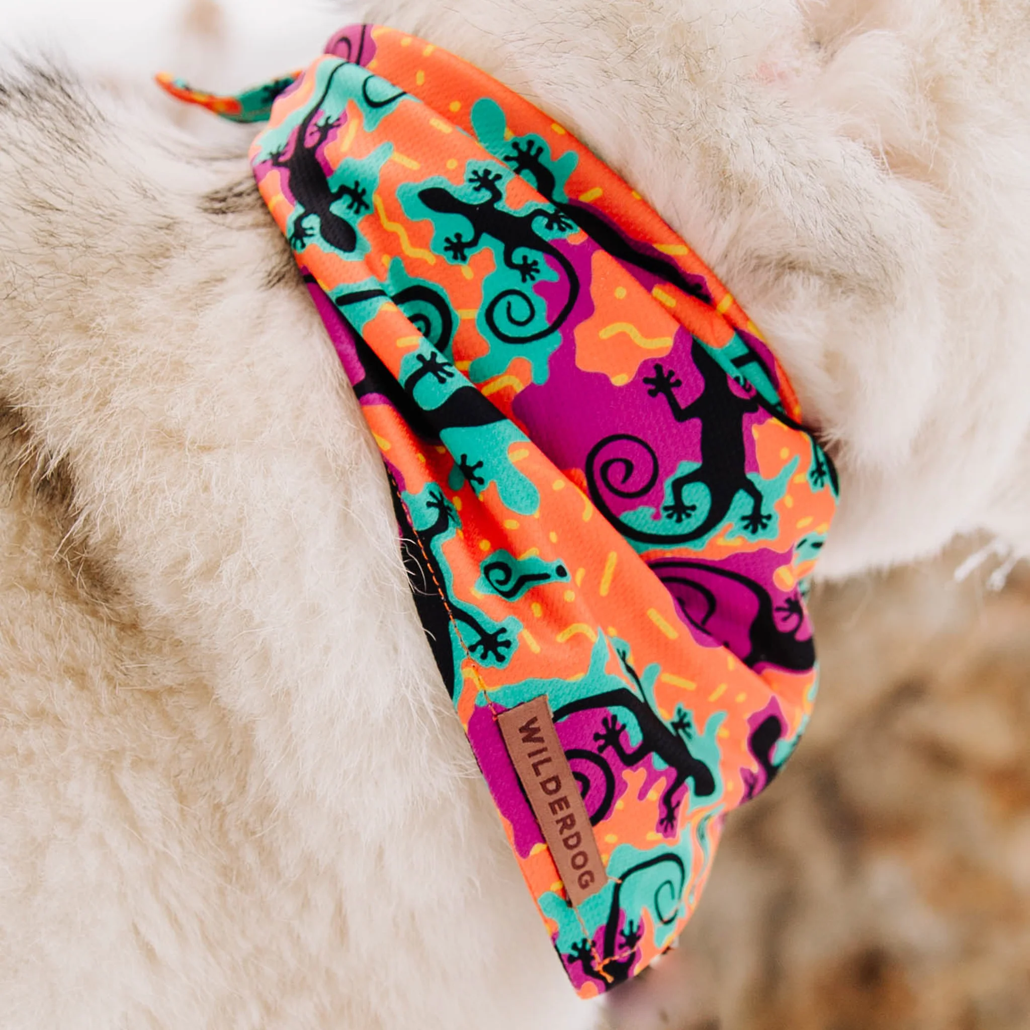 The Lizards Bandana - Image 4