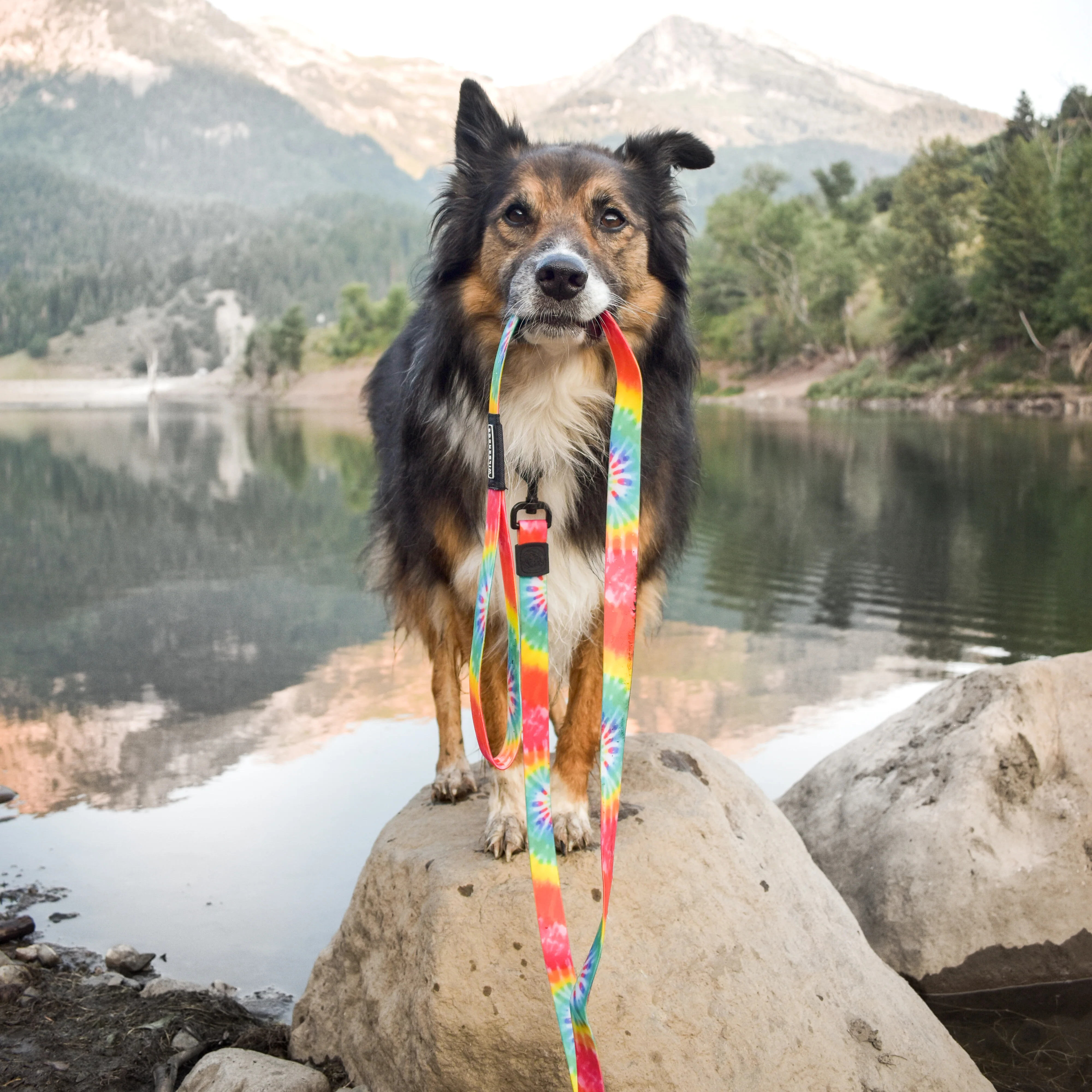 Tie Dye Waterproof Leash - Image 4
