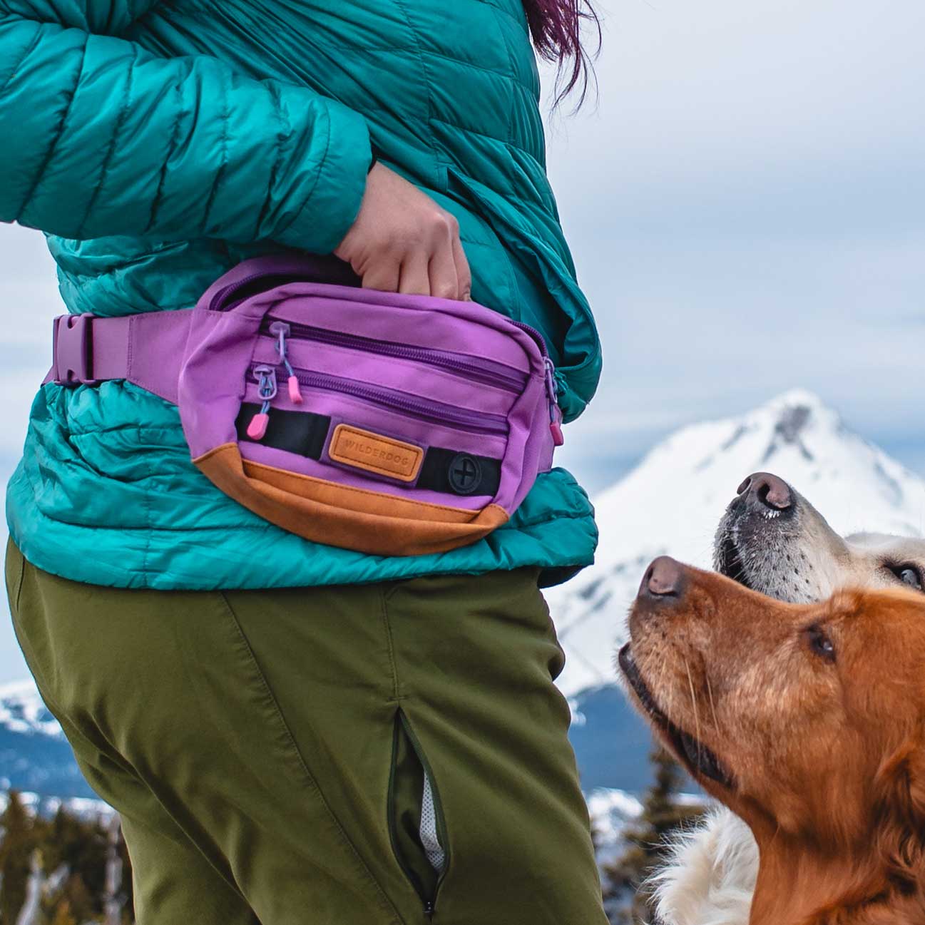 Utility Pack - Image 11