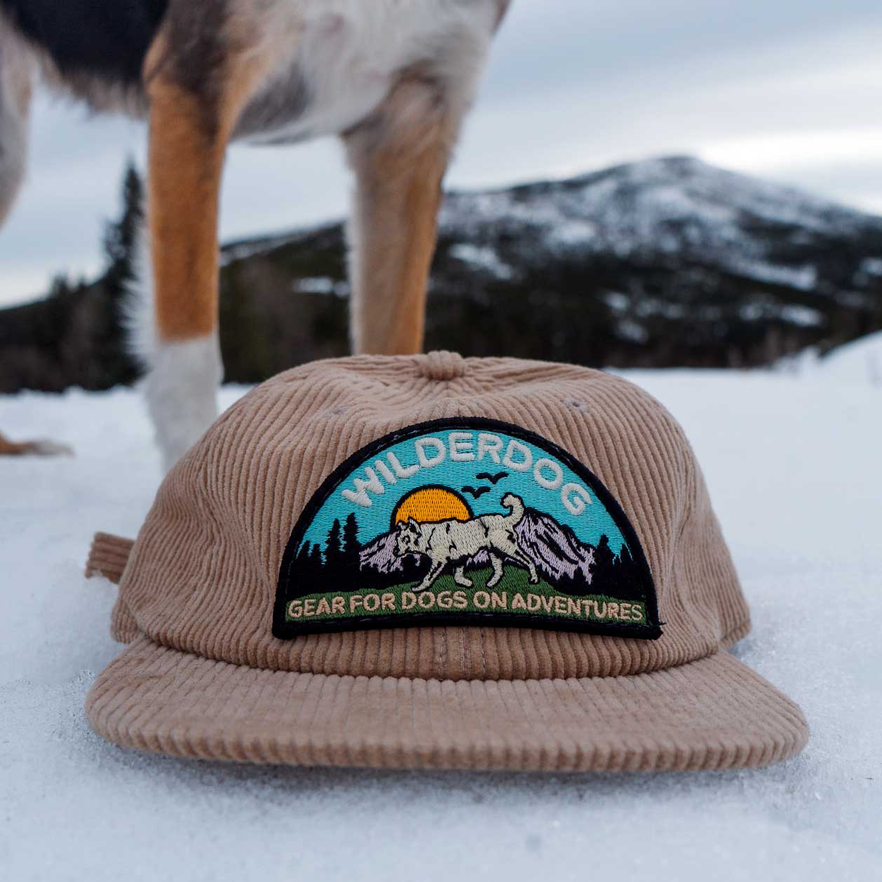 Wilderdog Cord Hat - Image 2