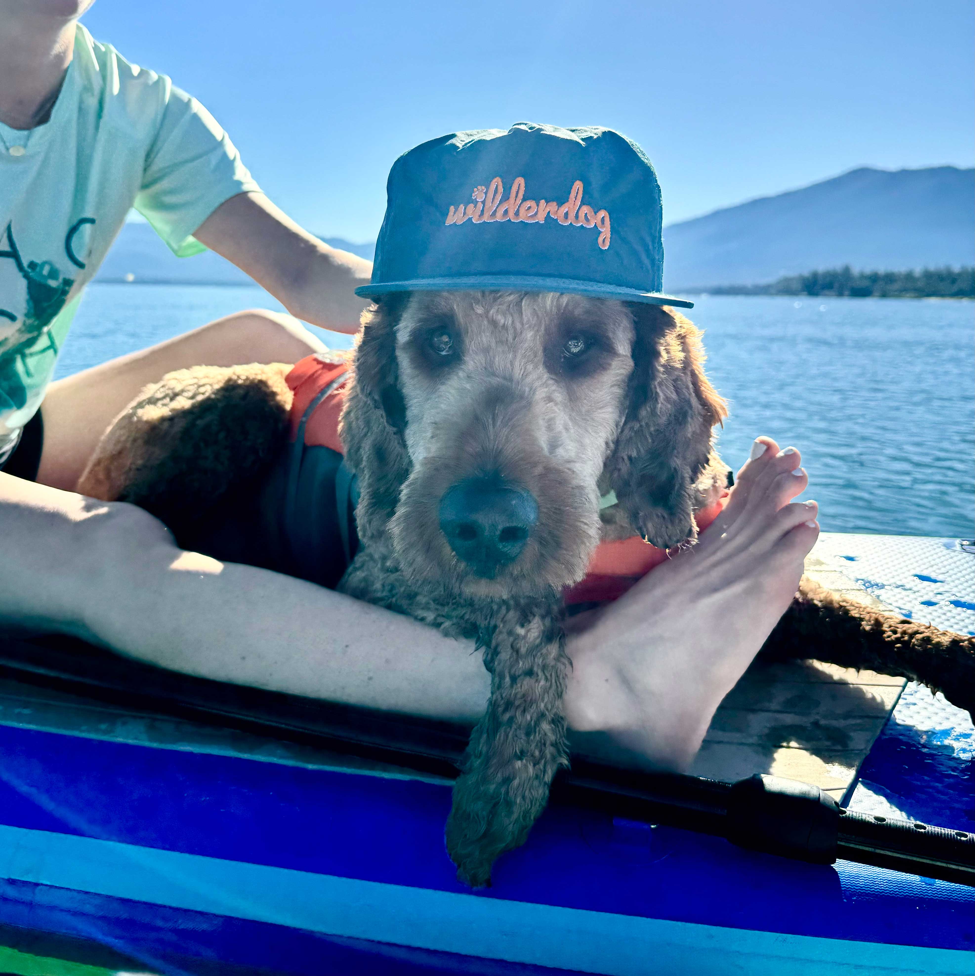 Wilderdog Surf Hat - Image 3