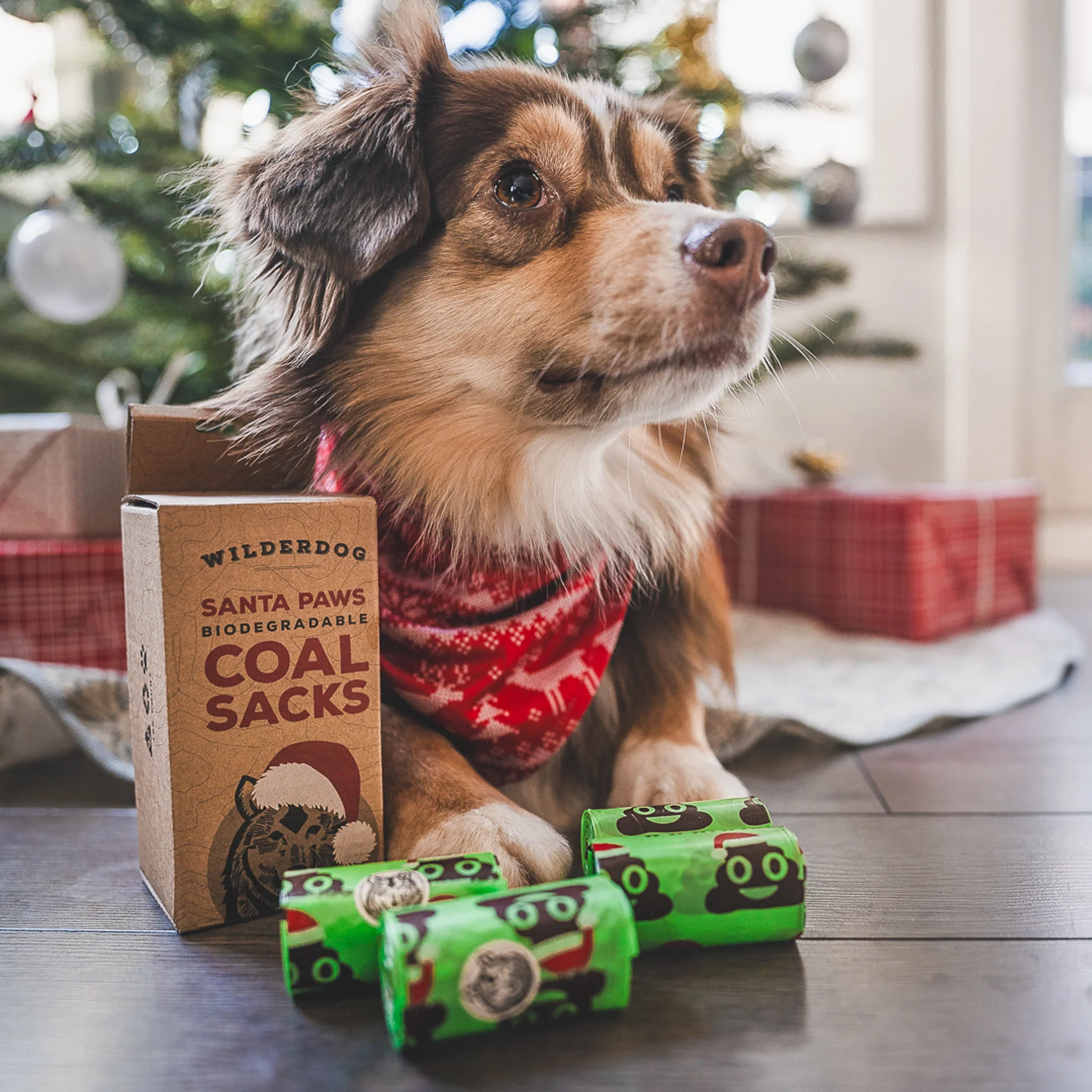 Santa Paws Poop Bags - Image 6