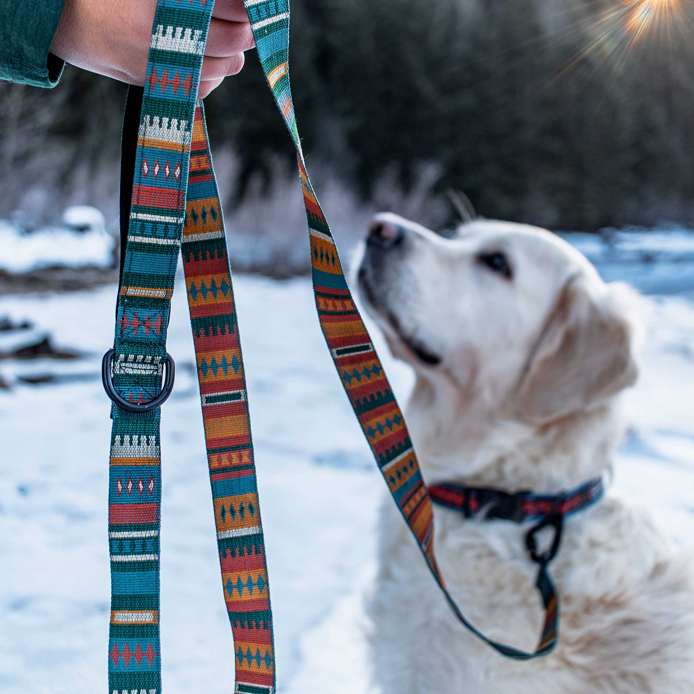 Yucca Ultralight Collar - Image 5